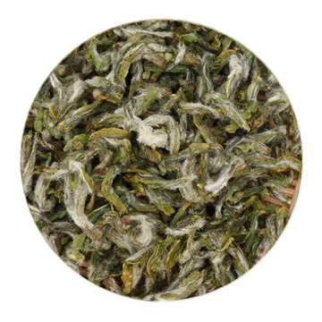 普陀佛茶 外形