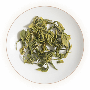 普陀佛茶 叶底