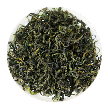 日照绿茶 外形