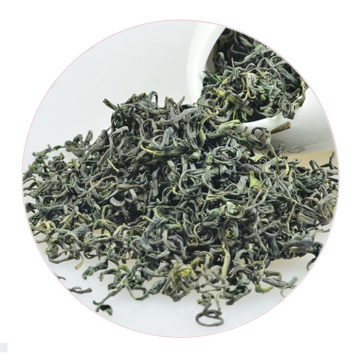 崂山绿茶 外形