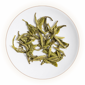 惠明茶 叶底