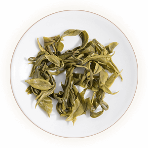 平水珠茶 叶底
