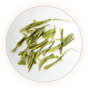 天山绿茶 叶底