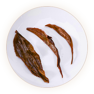 政和工夫茶 叶底