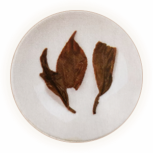 英德红茶 叶底