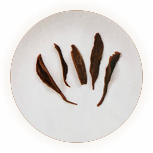 白琳工夫茶 叶底
