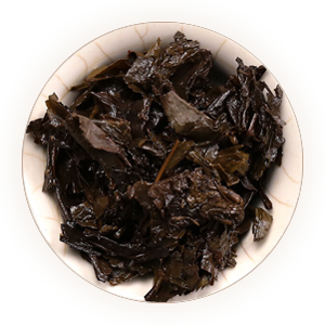 安化黑茶 叶底