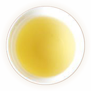 普洱生茶 汤色