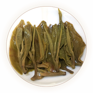 老班章 叶底