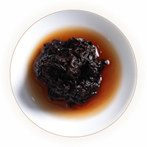 老茶头 叶底