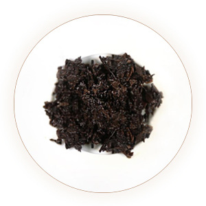普洱沱茶 叶底