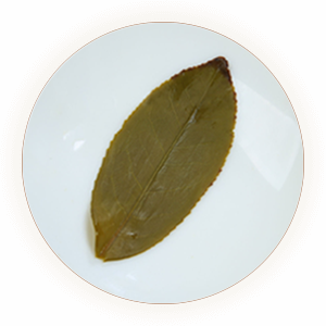 黄金桂 叶底