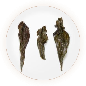 大红袍岩茶 叶底