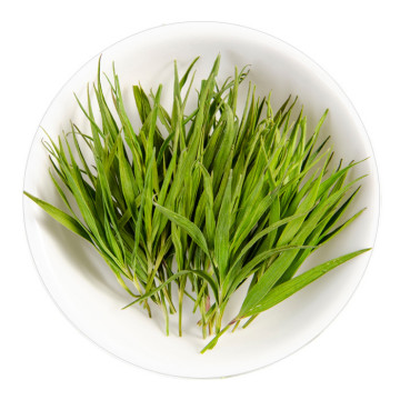 竹叶茶 外形