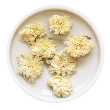 贡菊 外形