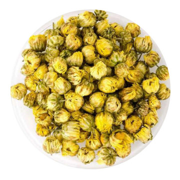 胎菊 外形