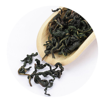 蒲公英茶 外形