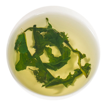 蒲公英茶 叶底