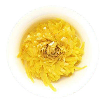 金丝皇菊 叶底