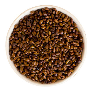 决明子茶 外形