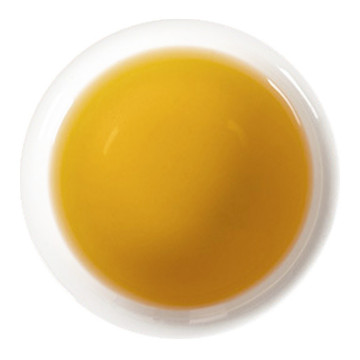 决明子茶 汤色