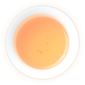 枸杞茶 汤色