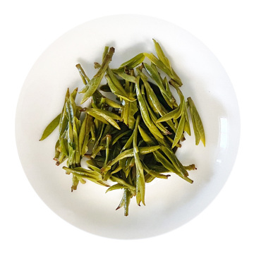 江山绿牡丹 叶底