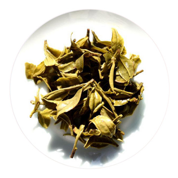 宝洪茶 叶底