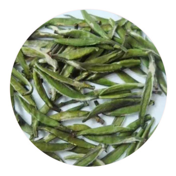 仙人掌茶 外形