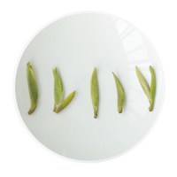 仙人掌茶 叶底