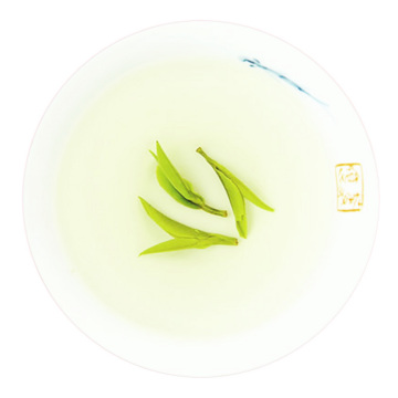 桐城小花 叶底