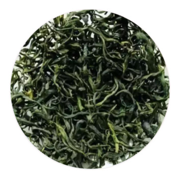 麻姑茶 外形