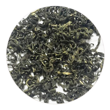 龙岩斜背茶 外形