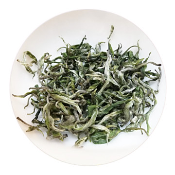 保靖黄金茶 外形