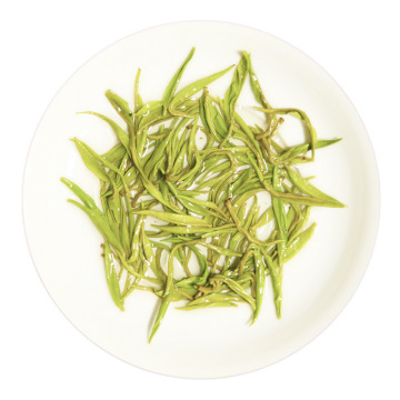 保靖黄金茶 叶底