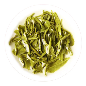英德绿茶 叶底