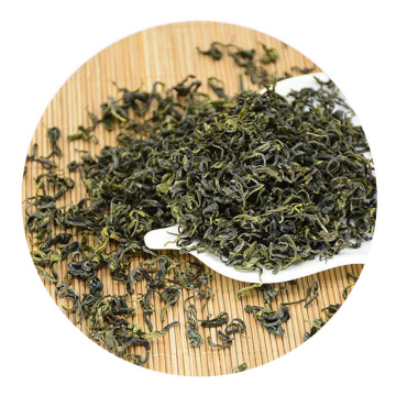 诸城绿茶 外形