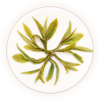诸城绿茶 叶底