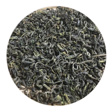 大鄣山云雾茶 外形