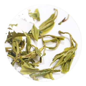 通天岩茶 叶底
