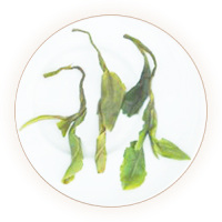 凤冈富锌富硒茶 叶底