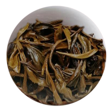 桂红工夫茶 叶底