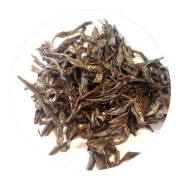 黑毛茶 叶底