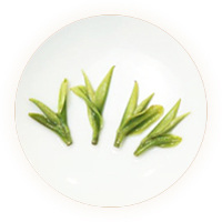天目湖白茶 叶底