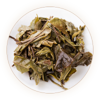 松溪小白茶 叶底
