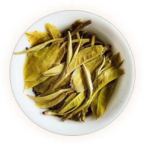 布朗山普洱茶 叶底