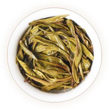 薄荷塘普洱茶 叶底