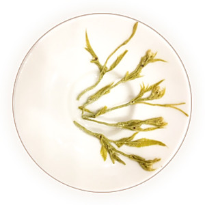 莓茶 叶底