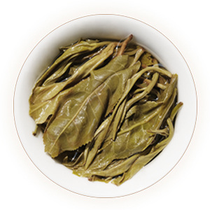 冰岛普洱茶 叶底
