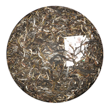 大雪山普洱茶 外形
